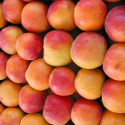 Valorange