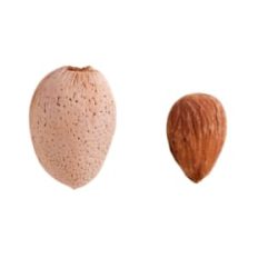 makako-almendra